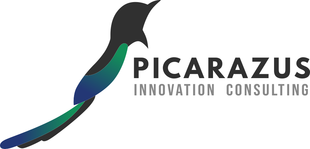 Picarazus Innovation Consulting